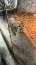 -Zoolung Zoolung动物主题公园(海信广场店)