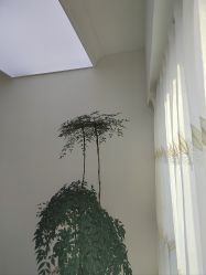-HEYAN荷妍专业脱毛连锁机构