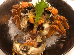 -人间采蜜(海信广场店)