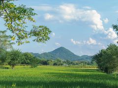 -良渚古城遗址公园