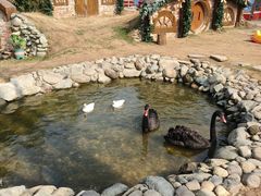 -HERRE·FARM 赫尔露营农场·团建聚会包场