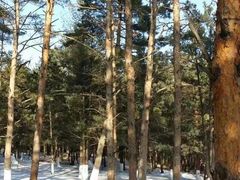 -帽儿山国家森林公园