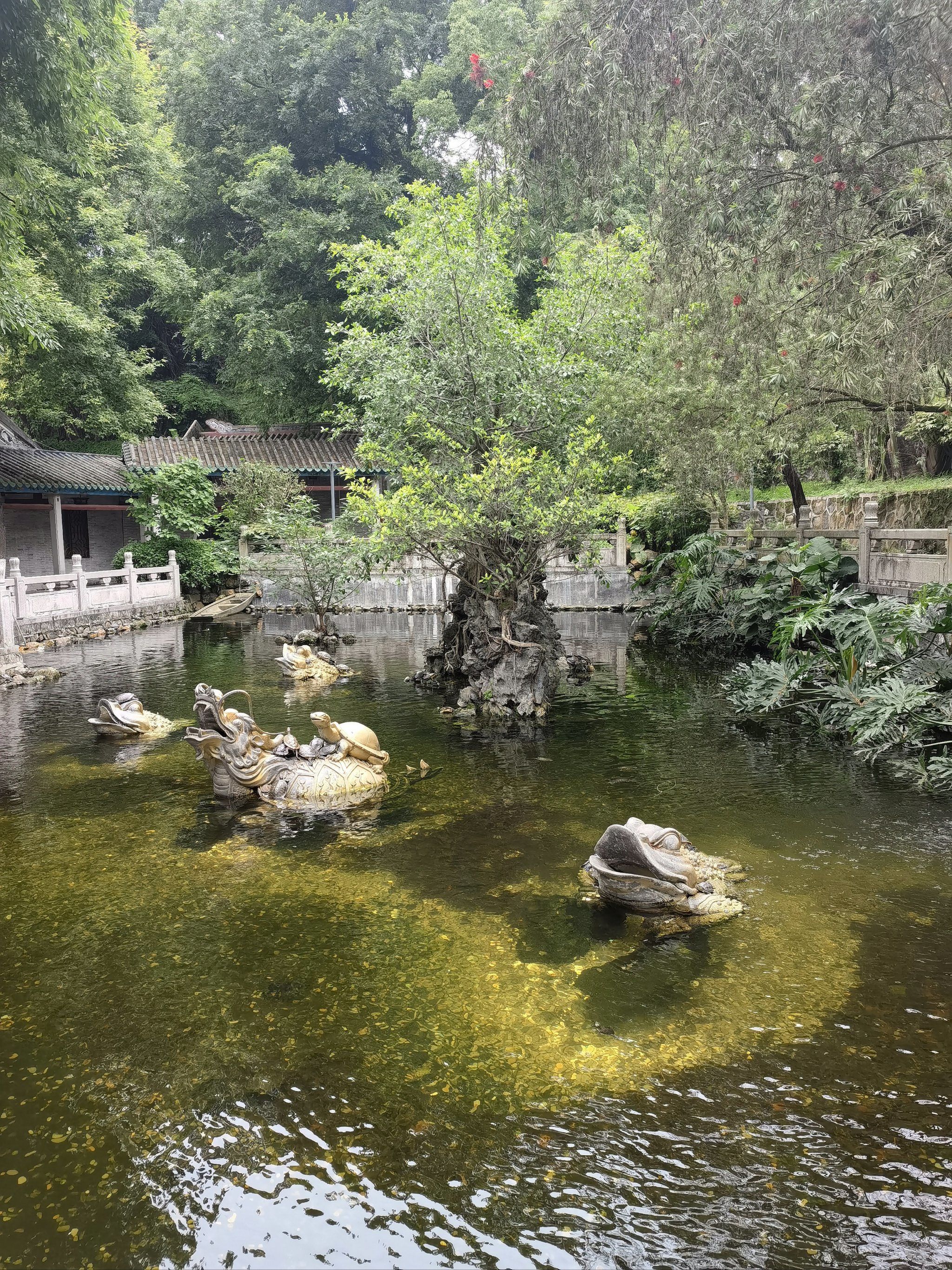 来千年古寺里看那绝美的景色