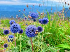 -白草畔自然风景区