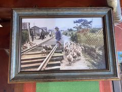 -春梅里卤鹅馆·47年老字号(中山路店)