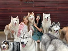 -TrueLove @ Neverland (Husky Cafe)
