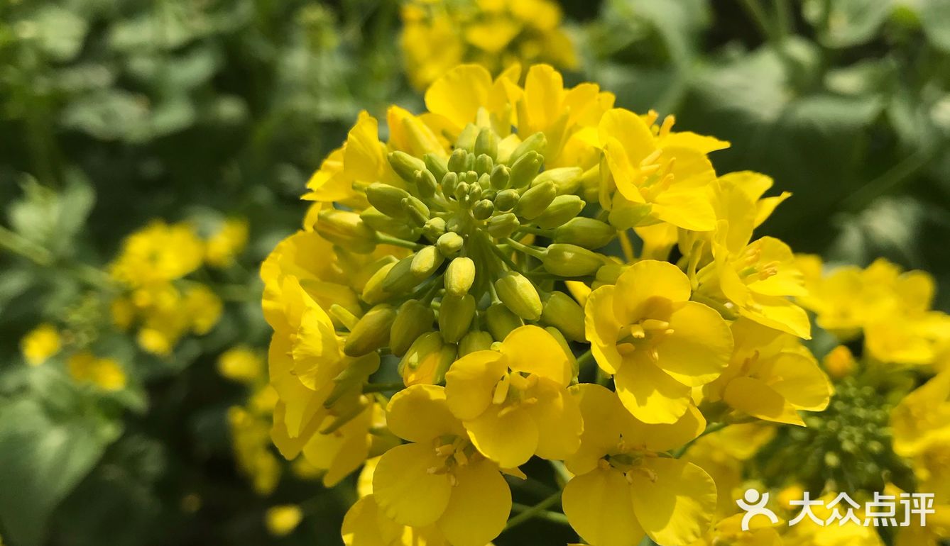 拍完才发现我是竖屏拍的又不想再拍第二遍了