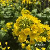 拍完才发现我是竖屏拍的又不想再拍第二遍了