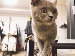 -iF摄影•全家福•证件照•形象照(南山店)