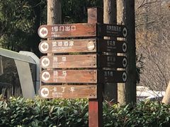 -东平国家森林公园