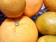 -PAGODA百果园(台柳路凯德广场店)