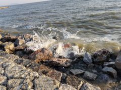 -合肥滨湖国家森林公园