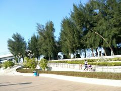 -宝安西湾红树林湿地公园