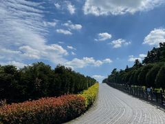 -树山生态村