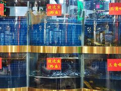 -蛙一刀·麻椒鱼火锅(金仙桥店)