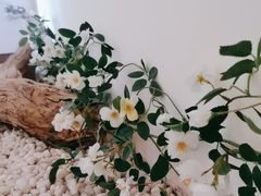 -小茶闲舍·观景商务茶馆(广州塔店)