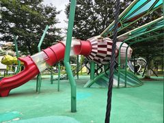 -江苏三台山国家森林公园