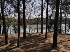 -南京市无想山景区