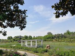 -扬州芍药园(仪征市)