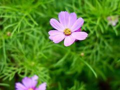 -苏州河梦清园环保主题公园