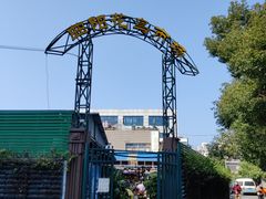 -曲阳花鸟市场(曲阳路店)