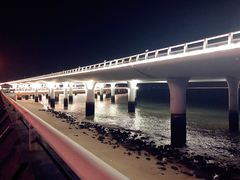-演武大桥观景平台
