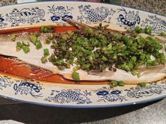 鲜椒蒸白鱼-南京大牌档(之心城店)