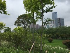 -艾溪湖湿地公园