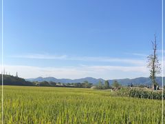 -良渚古城遗址公园