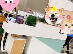 -爱畅享华为苹果手机维修服务(虹口龙之梦店)