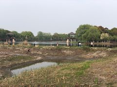 -荷塘月色湿地公园·向阳花洲