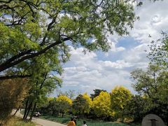 -北京西山国家森林公园