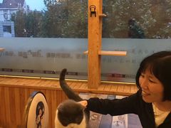 -猫的茶·猫咖