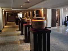 -日喀则乔穆朗宗酒店