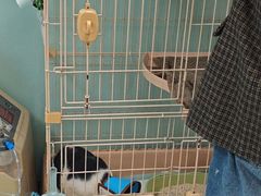 -嘉馨宠物医院·CT影像转诊·心脏科·犬猫全科诊疗中心(下沙大学城院区)
