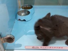 -FAELING PETS美天灵宠物(合生汇店)