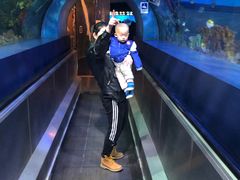 -鲨石格斗联盟(双井店)
