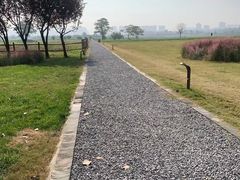 -汉长安城未央宫国家考古遗址公园