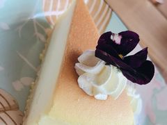 -三忘湖 SWANSEEN(柳荫公园店)