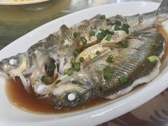 -晓琦农家菜馆·地道农家菜