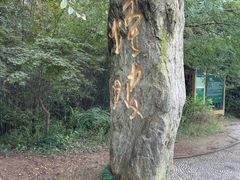 -石塘人家