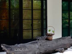 -T館·花园艺术餐厅