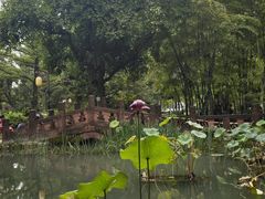 -望江楼公园