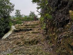 -羚羊峡古栈道森林公园