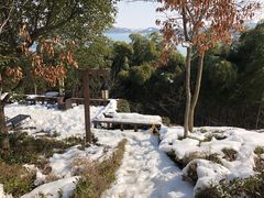 -天目湖涵田半山温泉