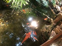 -聚缘堂·海鲜私房菜(松岭路店)