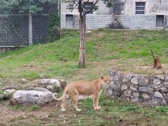 -西安秦岭野生动物园