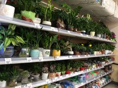 -沃尔玛购物广场(南城印象汇店)