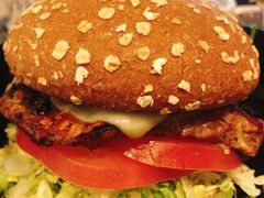 鸡肉芝士三明治-The Habit Burger Grill 哈比特汉堡(复兴soho店)