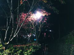 -天明山温泉大酒店